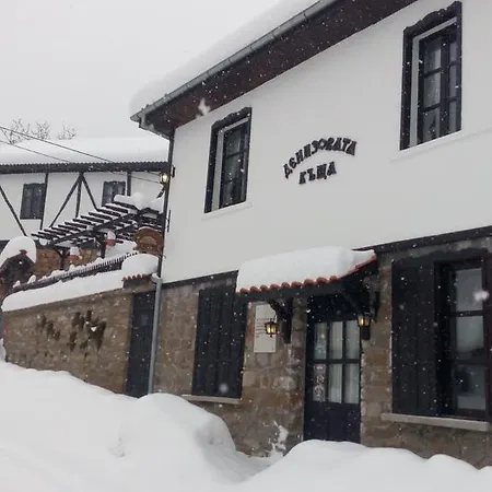 Denizovata House 게스트하우스