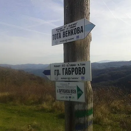 Denizovata House * Zeleno Dŭrvo