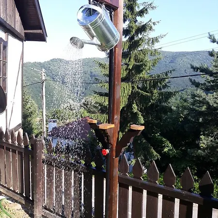 게스트하우스 Denizovata House Zeleno Dŭrvo